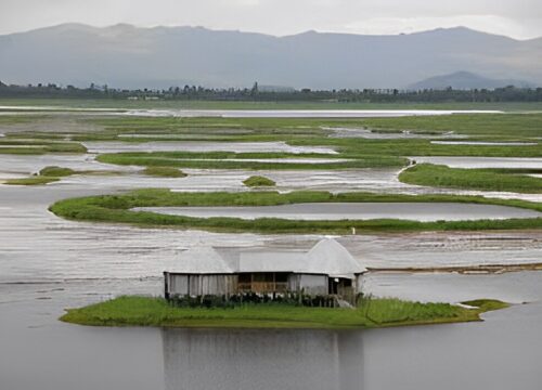 Imphal