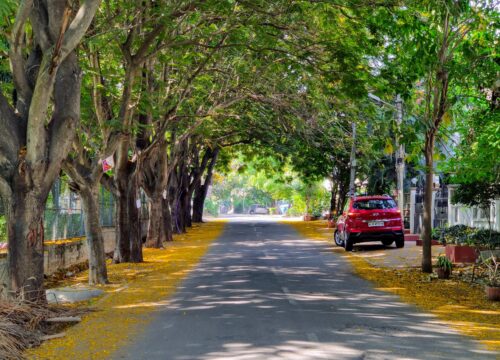 Bangalore