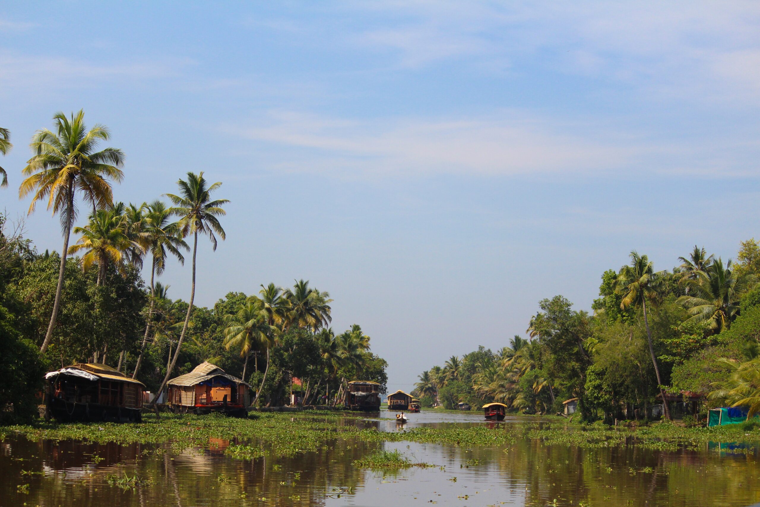 Kochi