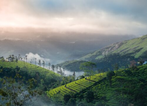 Munnar